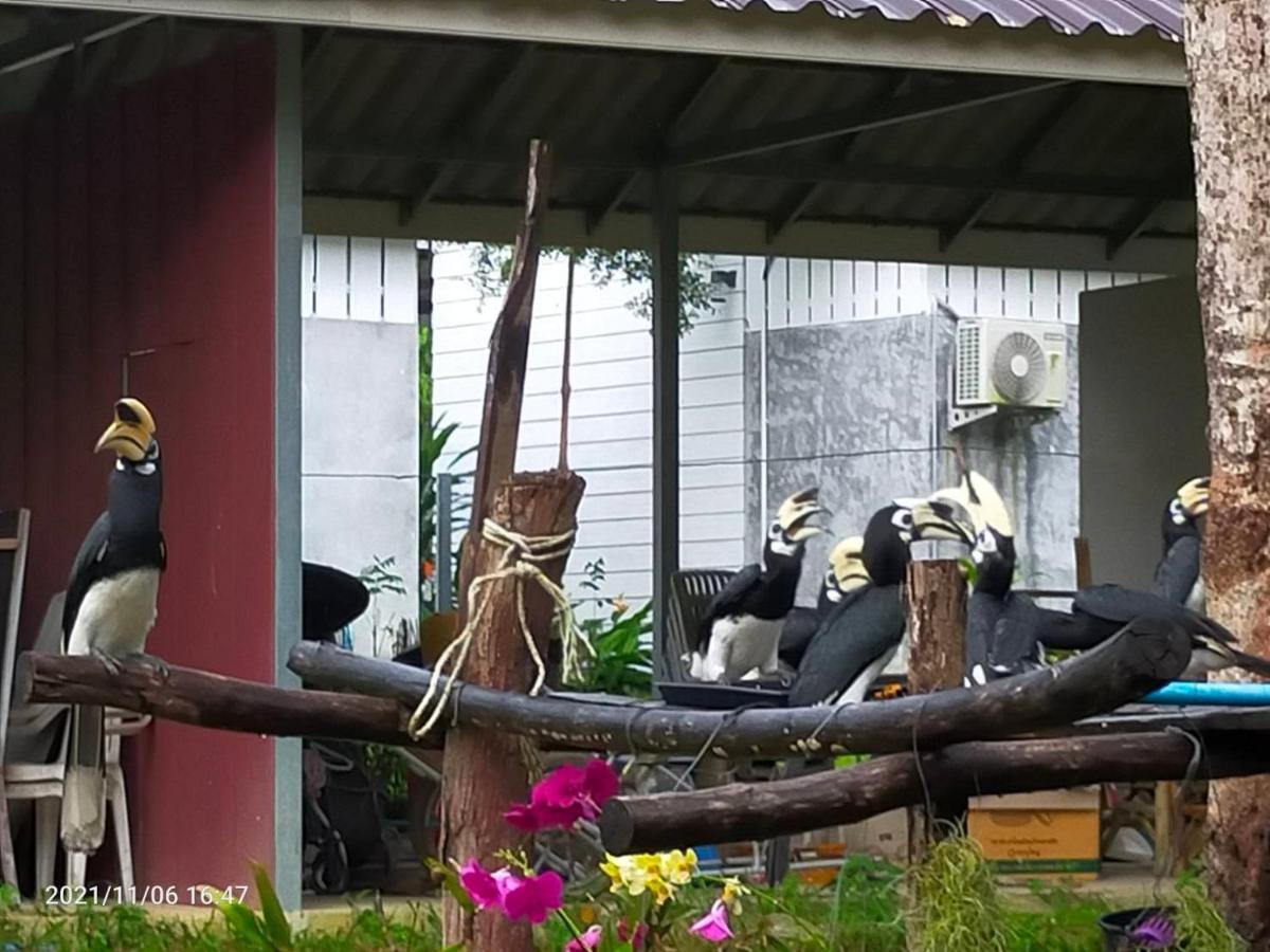 Eco Bungalow 阁帕延岛 外观 照片