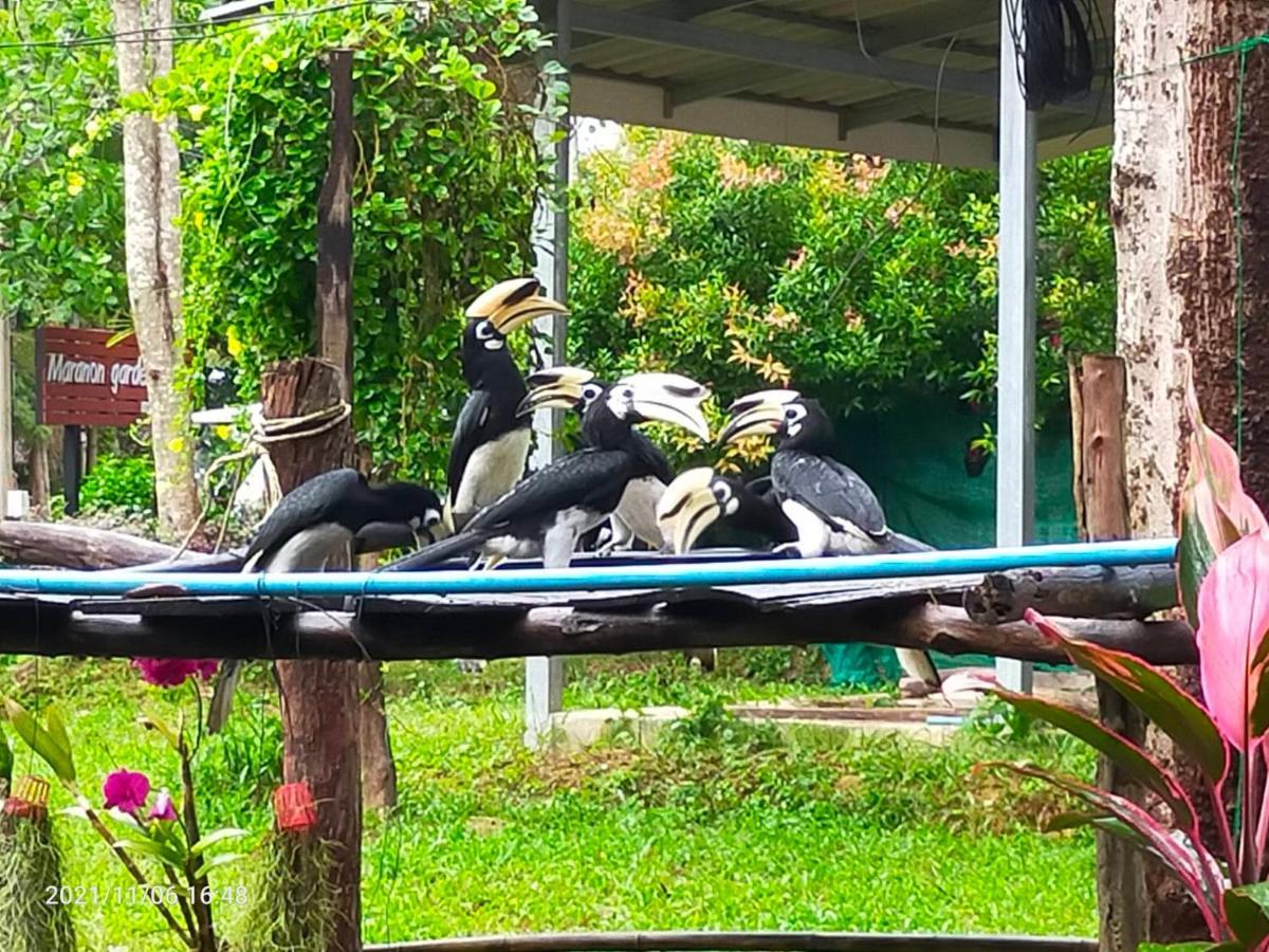 Eco Bungalow 阁帕延岛 外观 照片