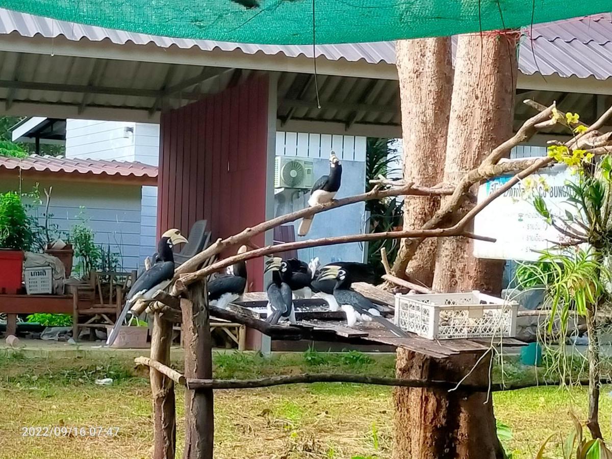 Eco Bungalow 阁帕延岛 外观 照片
