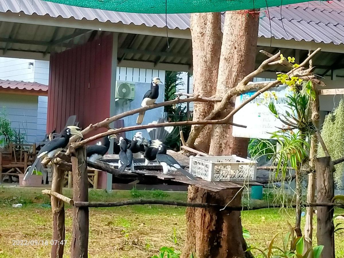 Eco Bungalow 阁帕延岛 外观 照片