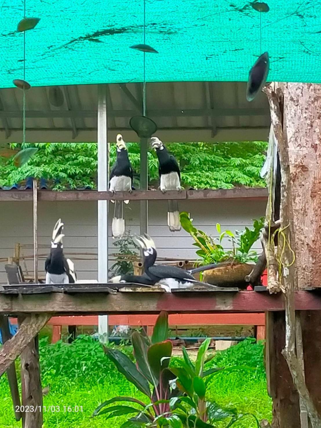 Eco Bungalow 阁帕延岛 外观 照片
