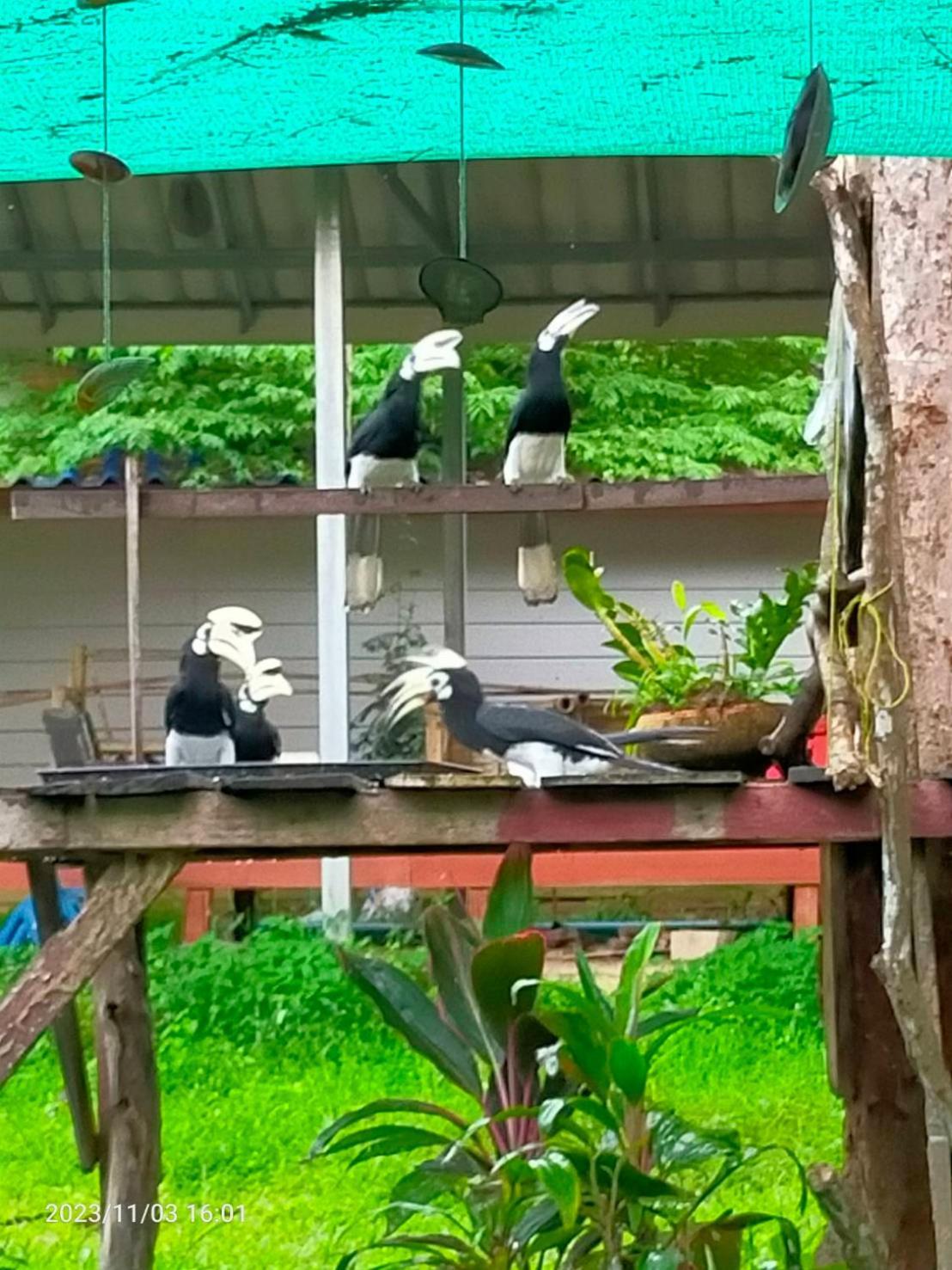 Eco Bungalow 阁帕延岛 外观 照片